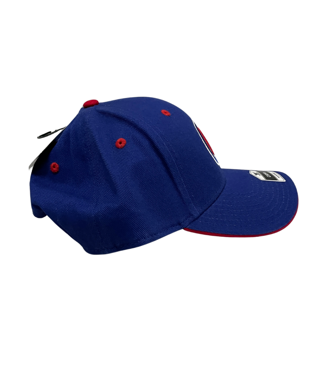 Chicago Baseball Team Caps
